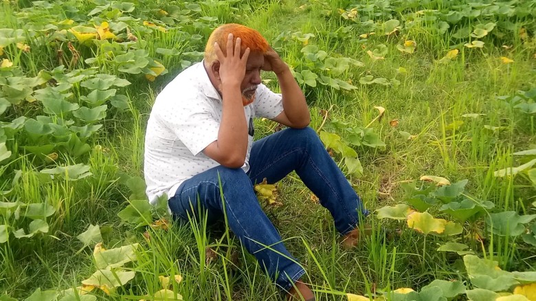 ১২০ বিঘা  জমিতে কুমড়া চাষ  ফল নেই  শুধু গাছ: পঞ্চগড়ের কৃষকে