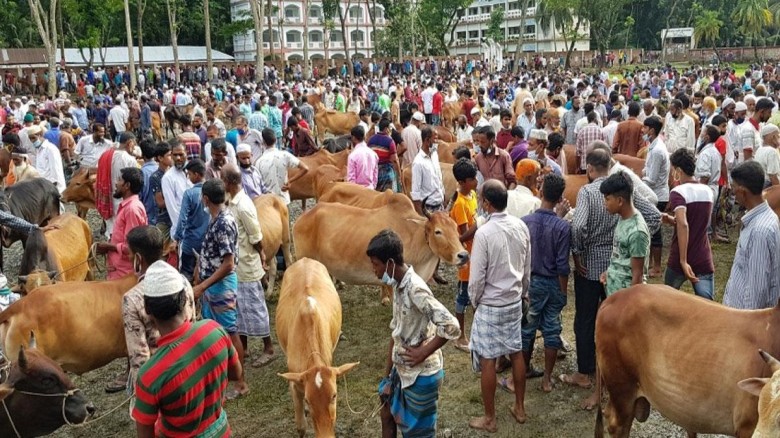 চট্টগ্রামে কোরবানির হাটের দরপতন, রাজস্ব হারানোর শঙ্কায় চসিক