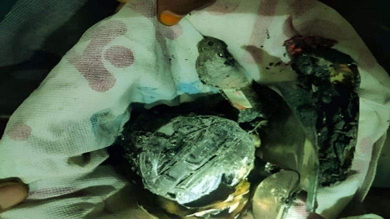 সাতক্ষীরায় বিএনপির কার্যালয়ে ককটেল বিস্ফোরণ